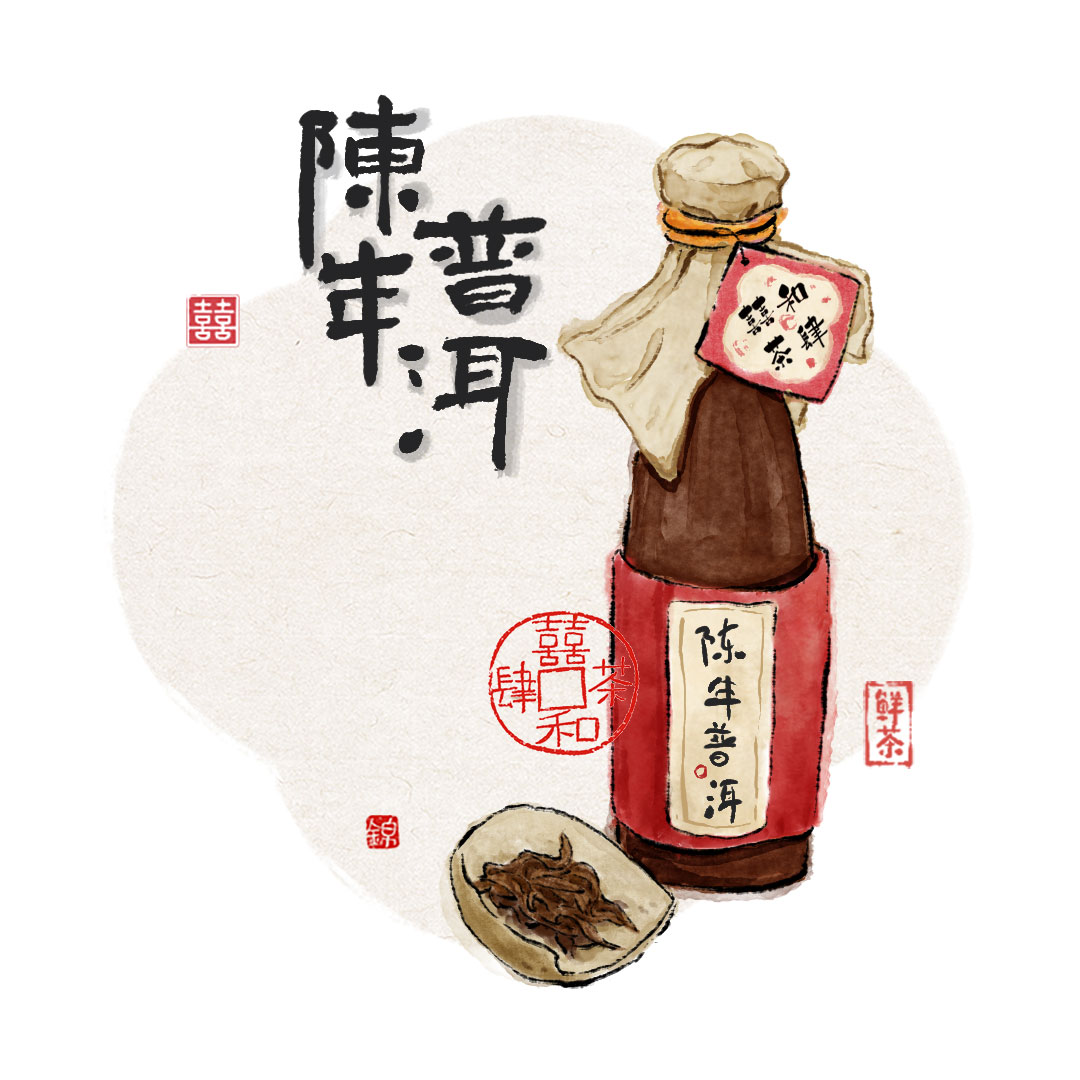 陳年普洱